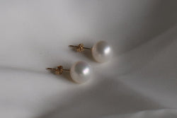 Pearl Studs