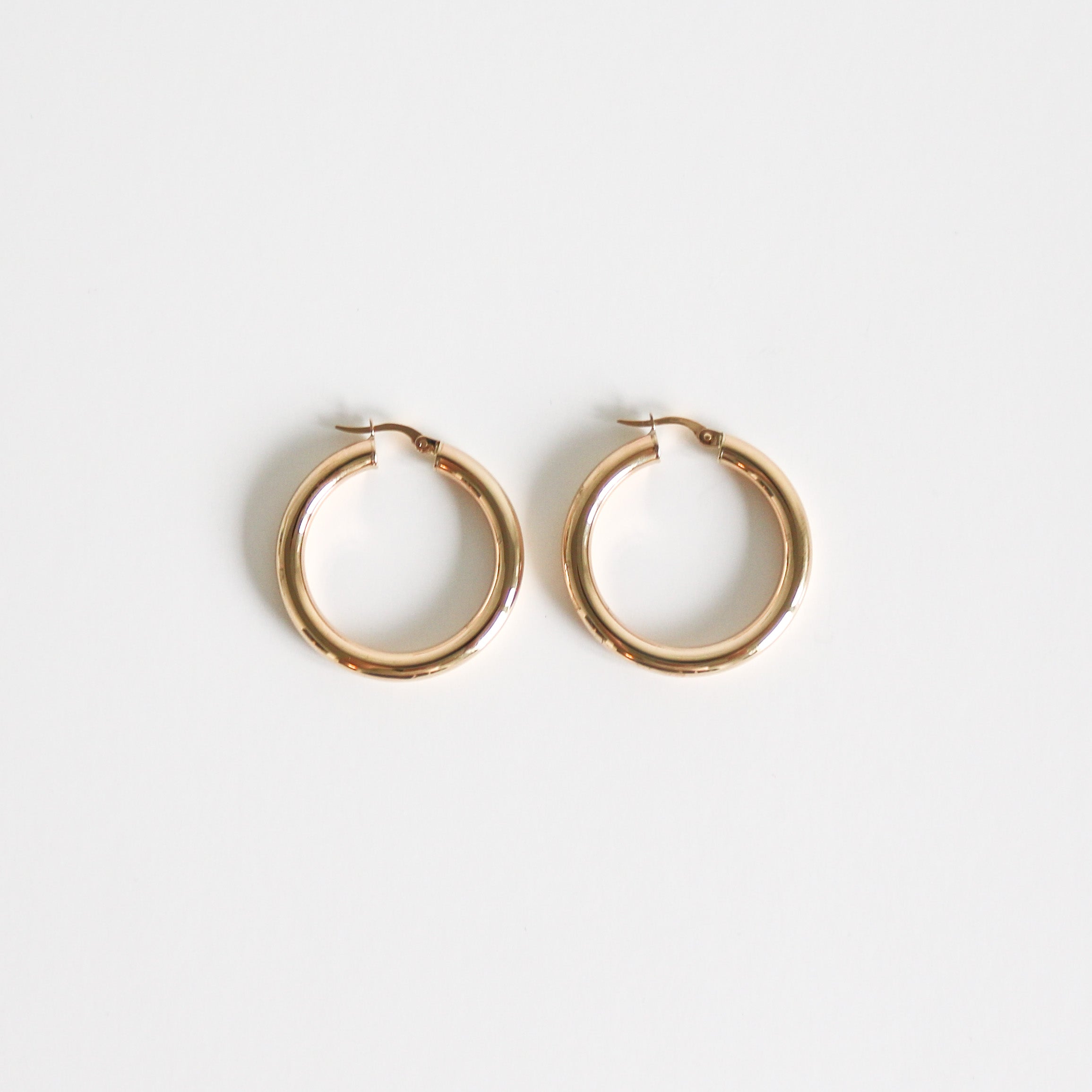 Erika Hoops