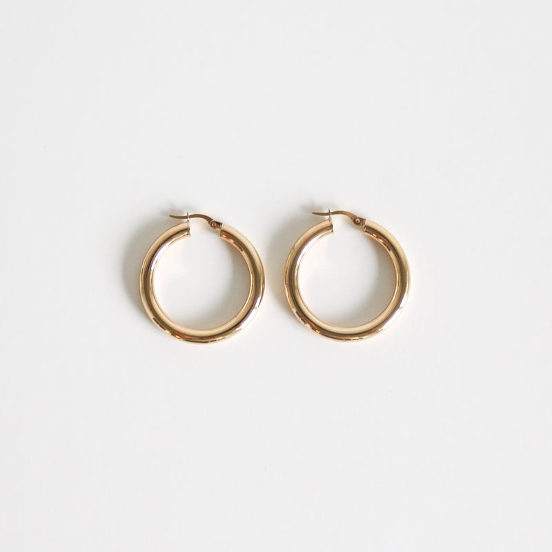 Erika Hoops