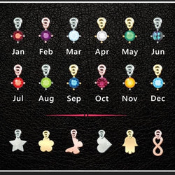 EXTRA- Birthstone or Charm